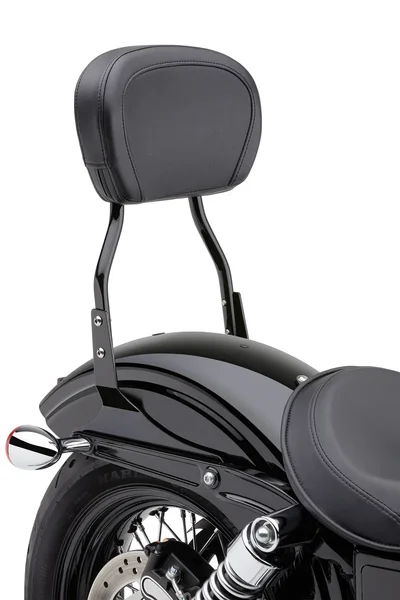 COBRA - 602-1301B - Round Sissy Bar