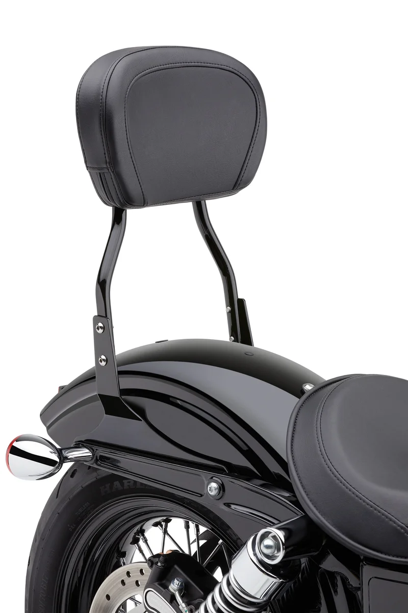 COBRA - 602-1301B - Round Sissy Bar