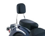 COBRA - 02-5325 - Std Sissy Bar