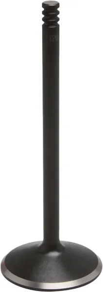 KPMI - 20-20940 - Black Diamond Intake Valve