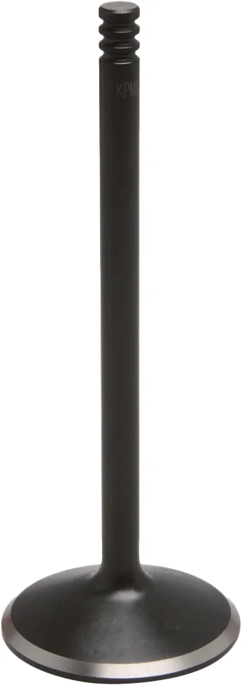 KPMI - 20-20940 - Black Diamond Intake Valve
