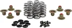 KPMI - 20-24400 - BEEHIVE VALVE SPRING KIT .640 LIFT  M8`17-24 NON VVT