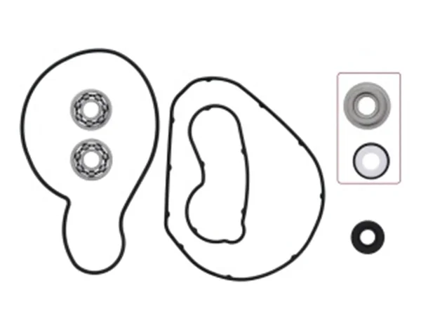 SP1 - 10-721317 - WATER PUMP REPAIR KIT AC/YAM