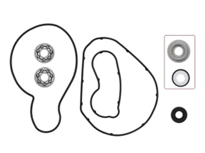 SP1 - 10-721317 - WATER PUMP REPAIR KIT AC/YAM