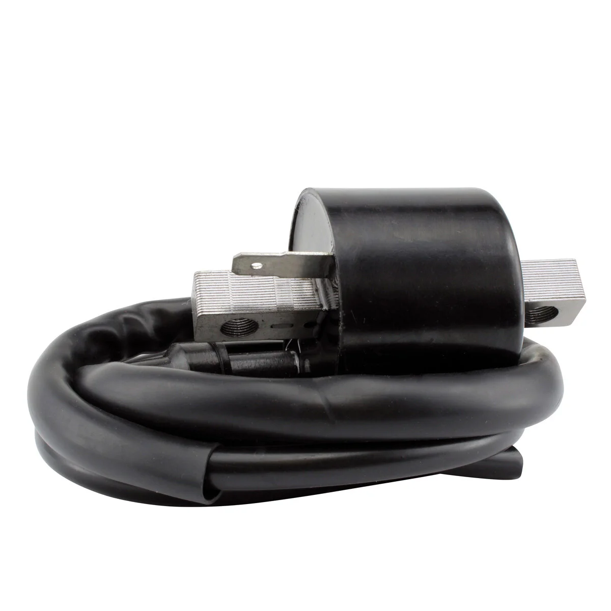 RM STATOR - RM06158 - External Ignition Coils