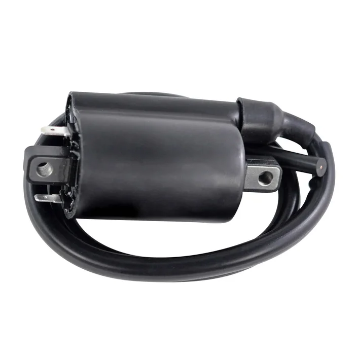 RM STATOR - RM06176 - External Ignition Coils