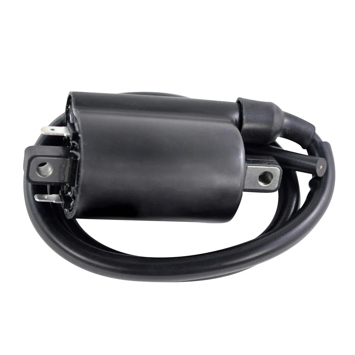 RM STATOR - RM06176 - External Ignition Coils