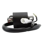 RM STATOR - RMS060-105954 - External Ignition Coils