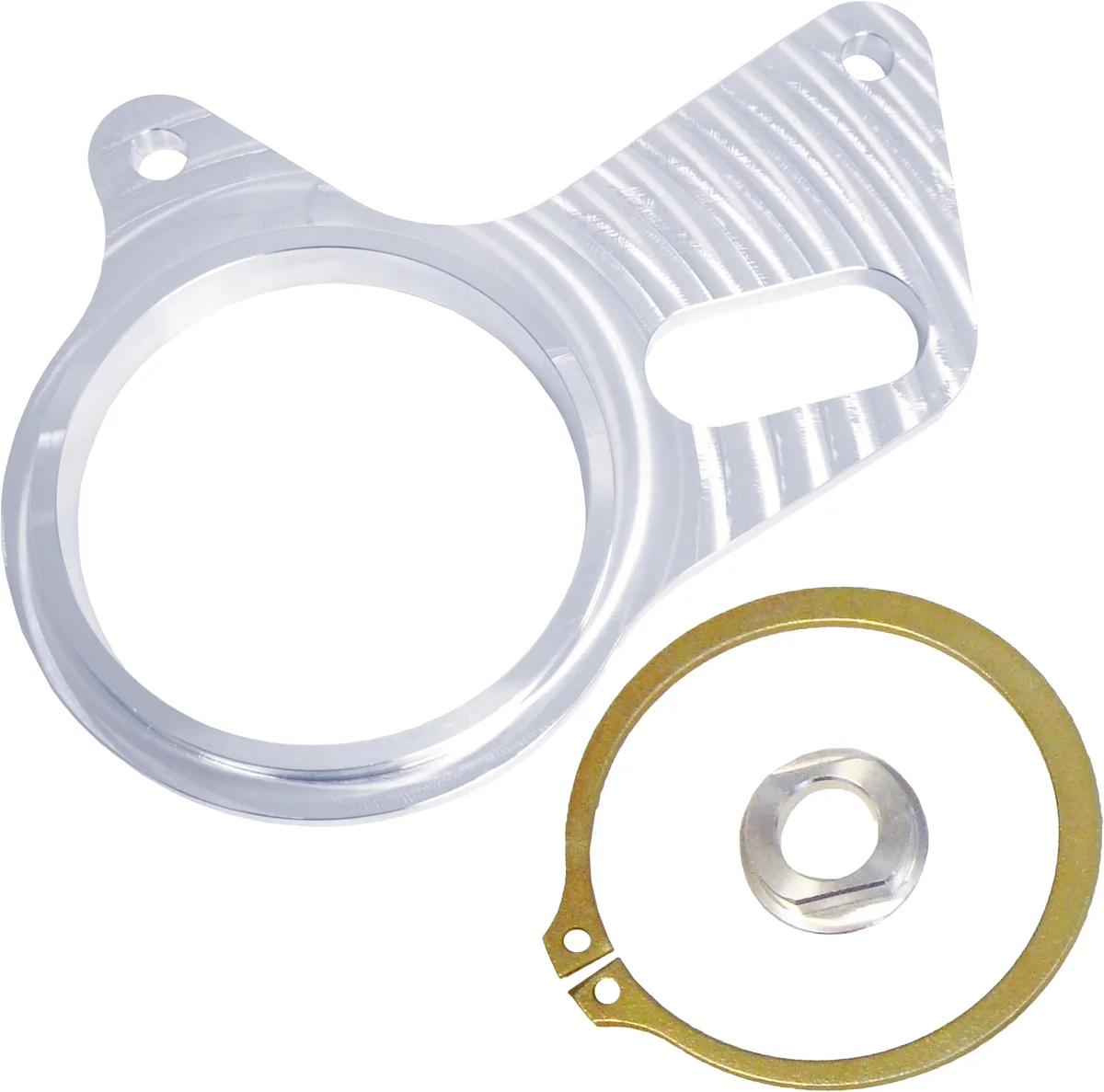 MODQUAD - BRAKE-250R - Stator Plate