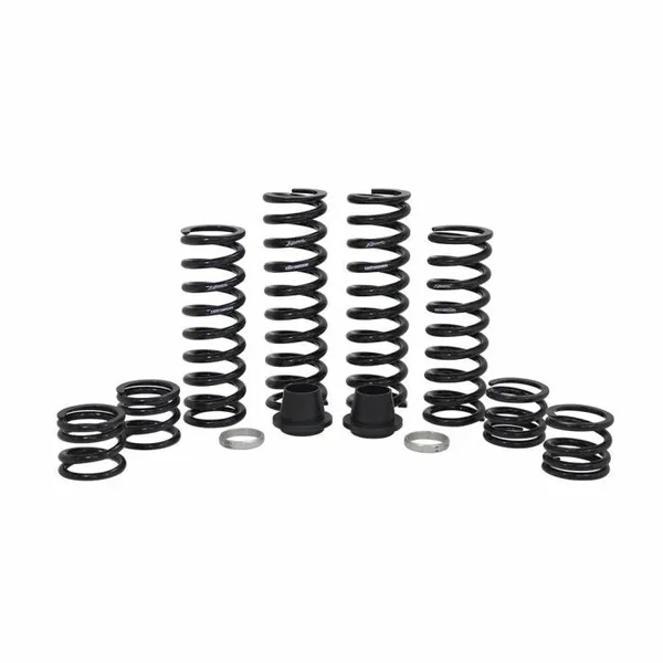ZBROZ - K30-PL1009-0 - Dual Rate Spring Kit