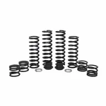 ZBROZ - K30-PL1009-0 - Dual Rate Spring Kit