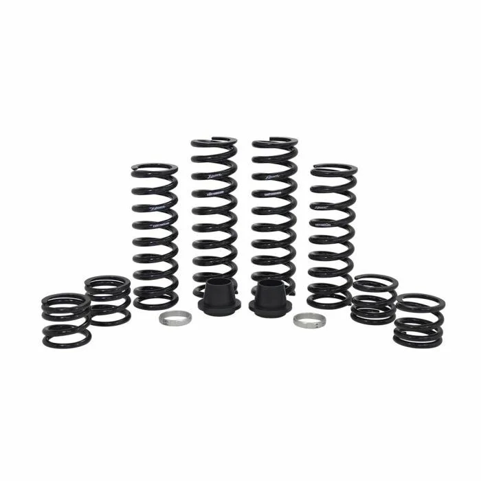 ZBROZ - K30-PL1009-0 - Dual Rate Spring Kit