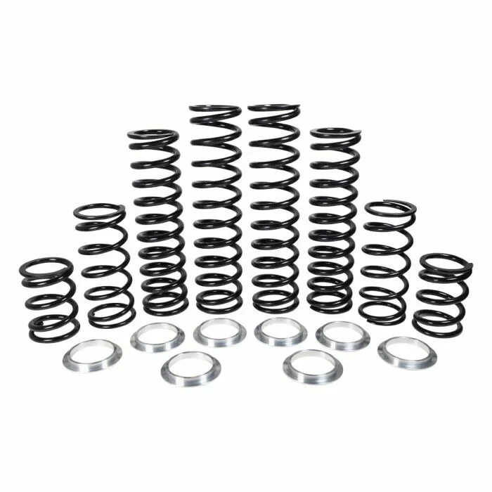 ZBROZ - K30-KA1002-0 - Dual Rate Spring Kit