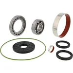 ALL BALLS - 25-2155 - Differential Bearing & Seal Kit