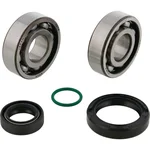 ALL BALLS - 24-1131 - Crankshaft Bearing & Seal Kit