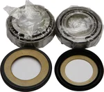 All Balls Racing 22-1023 Steering Head Bearing - High-Performance Racing Steering Component