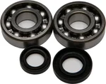 All Balls Racing 24-1002 Crankshaft Bearing & Seal Kit - High-Performance Engine Kit for Powersports