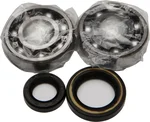 ALL BALLS Racing Crankshaft Bearing & Seal Kit - High-Performance Engine Parts for Powersports