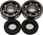 All Balls Racing Crankshaft Bearing & Seal Kit - High-Performance Engine Kit for Powersports
