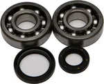 All Balls Racing 24-1014 Crankshaft Bearing & Seal Kit - High-Performance Engine Kit for Powersports