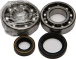ALL BALLS Racing Crankshaft Bearing & Seal Kit - High-Performance Engine Replacement