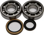 ALL BALLS Racing Crankshaft Bearing & Seal Kit - High-Performance Engine Replacement Kit