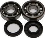 All Balls Racing Crankshaft Bearing & Seal Kit - High-Performance Engine Replacement Kit