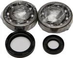 All Balls Racing Crankshaft Bearing & Seal Kit - High-Performance Engine Repair Kit