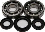 All Balls Racing 24-1028 Crankshaft Bearing & Seal Kit - High-Performance Engine Replacement