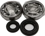 ALL BALLS Racing Crankshaft Bearing & Seal Kit - High-Performance Engine Replacement Kit