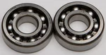 All Balls Racing 24-1031 Crankshaft Bearing & Seal Kit - High-Performance Engine Kit for Powersports