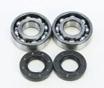 All Balls Racing 24-1035 Crankshaft Bearing & Seal Kit - High-Performance Engine Replacement