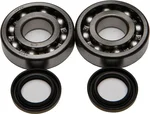 All Balls Racing 24-1045 Crankshaft Bearing & Seal Kit - High-Performance Engine Kit for Powersports