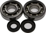ALL BALLS Racing Crankshaft Bearing & Seal Kit - High-Performance Engine Replacement