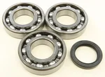 All Balls Racing 24-1076 Crankshaft Bearing & Seal Kit - High-Performance Engine Kit for Powersports