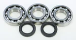 All Balls Racing 24-1077 Crankshaft Bearing & Seal Kit - High-Performance Engine Replacement
