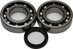 ALL BALLS Racing Crankshaft Bearing & Seal Kit - High-Performance Engine Replacement Kit