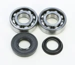 All Balls Racing Crankshaft Bearing & Seal Kit - High-Performance Engine Replacement