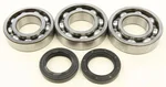 All Balls Racing 24-1084 Crankshaft Bearing & Seal Kit - High-Performance Engine Replacement
