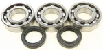 All Balls Racing 24-1092 Crankshaft Bearing & Seal Kit - High-Performance Engine Replacement