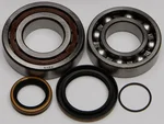 All Balls Racing 24-1098 Crankshaft Bearing & Seal Kit - High-Performance Engine Replacement