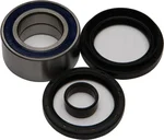 All Balls Racing 25-1004 Drive Wheel Bearing Kit - Durable, High-Performance Racing Bearings