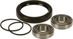 All Balls Racing Drive Wheel Bearing Kit - Durable, High-Performance Replacement for Powersports Vehicles