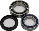 All Balls Racing Drive Wheel Bearing Kit - High-Durability Replacement for Powersports Vehicles