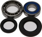 All Balls Racing 25-1014 Drive Wheel Bearing Kit - Durable, High-Performance Replacement