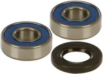 All Balls Racing 25-1038 Drive Wheel Bearing Kit - High-Performance, Durable Replacement for Powersports Vehicles