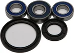 All Balls Racing Drive Wheel Bearing Kit - Durable, High-Performance Replacement for Powersports Vehicles