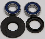 All Balls Racing 25-1075 Drive Wheel Bearing Kit - High-Durability Racing Bearings for Unmatched Performance