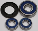 ALL BALLS Racing Drive Wheel Bearing Kit - High-Performance Durable Replacement for Powersports Vehicles
