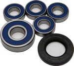 All Balls Racing 25-1097 Drive Wheel Bearing Kit - High-Durability Racing Bearings for Unmatched Performance
